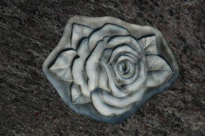 Rosenblüte          